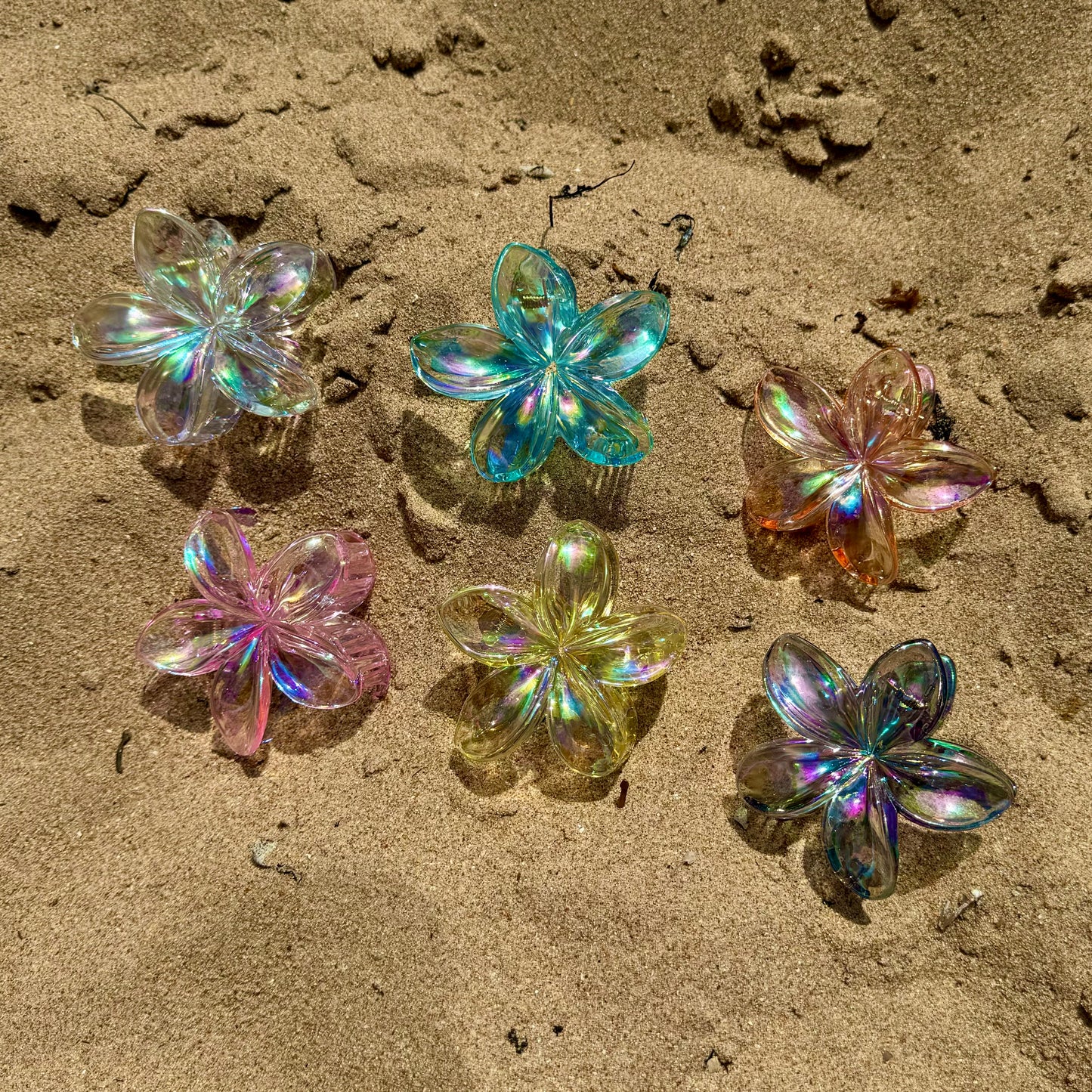 6pc Large Iridescent Transparent Frangipani claw clips
