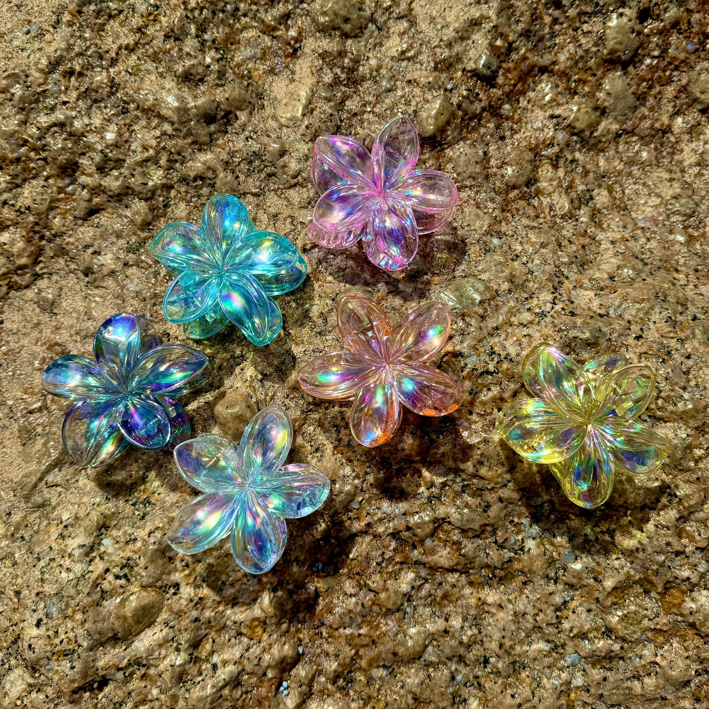 6pc Large Iridescent Transparent Frangipani claw clips